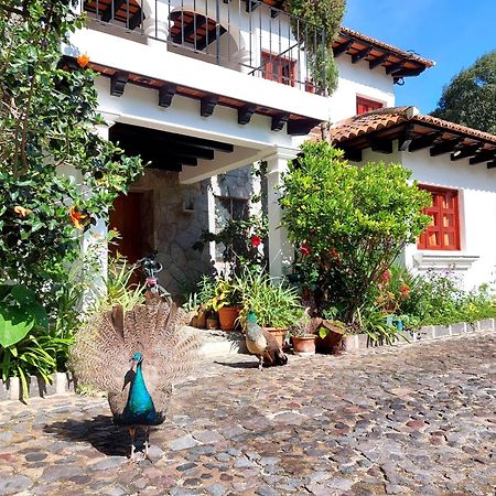Hotel Y Jardines Casa Buho 안티구아 과테말라 외부 사진