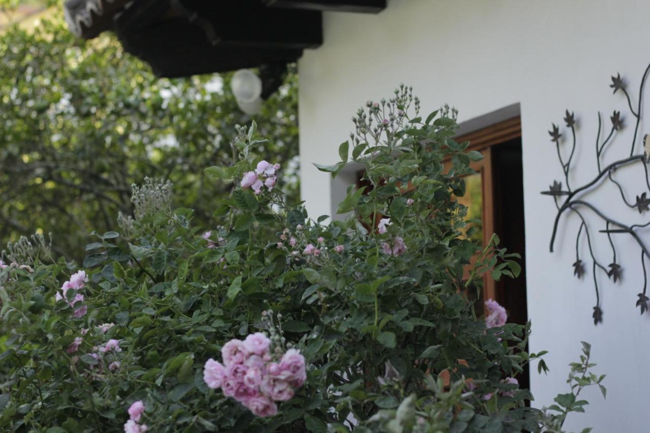 Hotel Y Jardines Casa Buho 안티구아 과테말라 외부 사진
