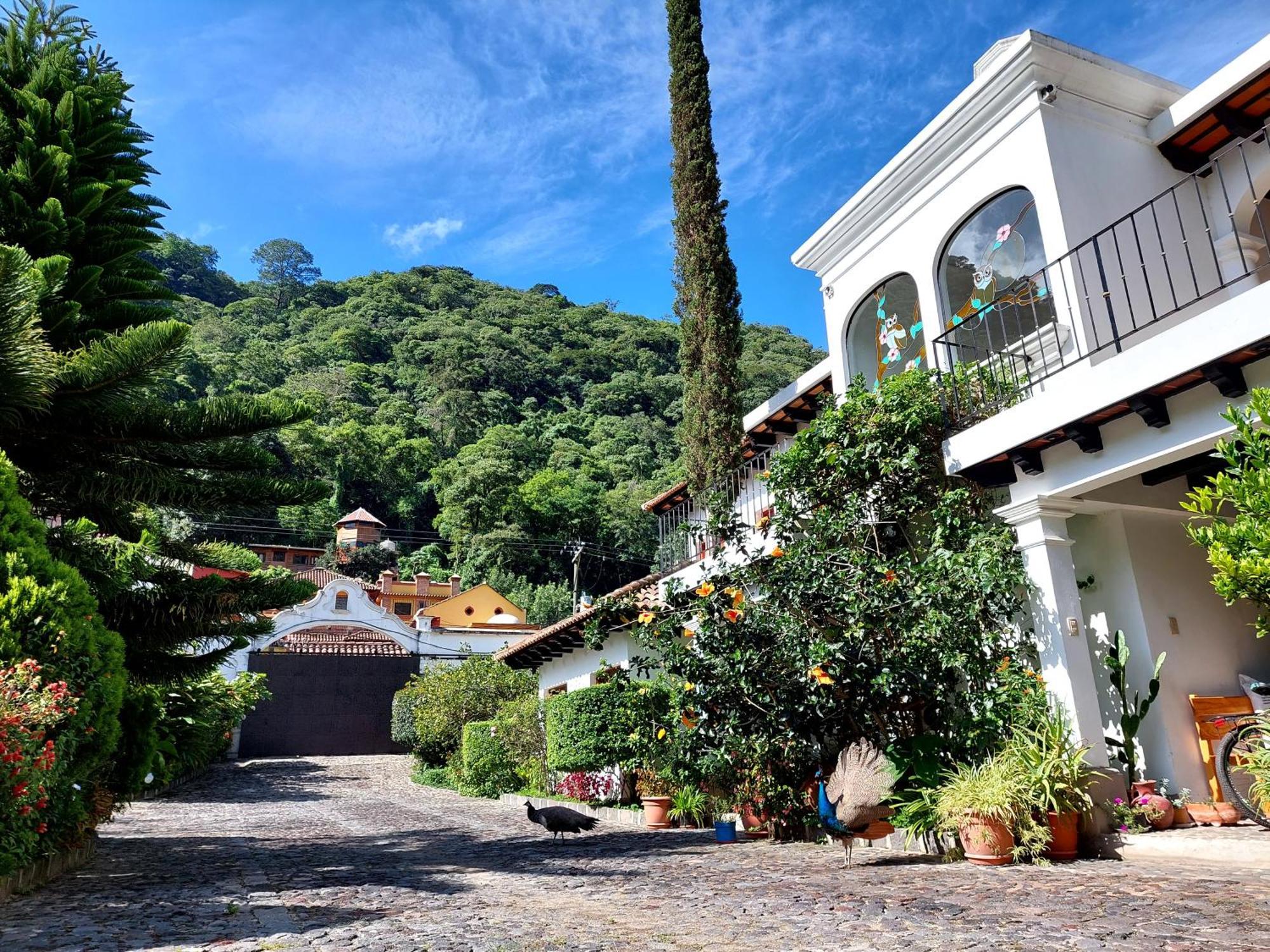 Hotel Y Jardines Casa Buho 안티구아 과테말라 외부 사진